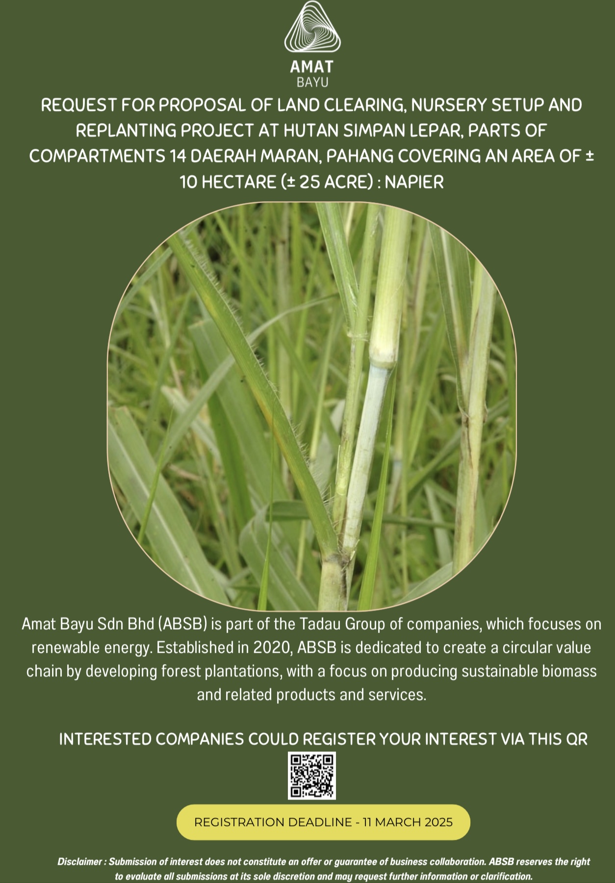 RFP INVITATION – Napier Planting